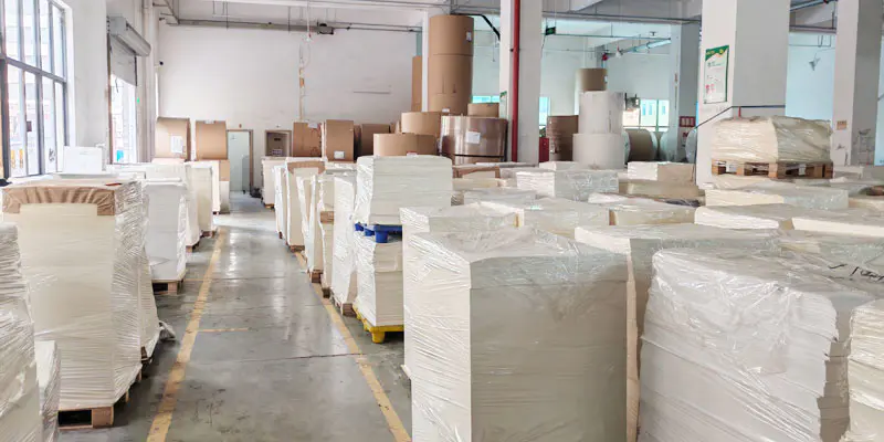 Eco Friendly Starch Packaging Bag workshop